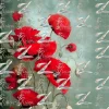 Crimson Echoes - S215BS