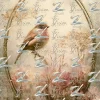 S3E01C Birdsong & Highland Blooms - S3E01