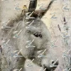 S3E02 CS - Pasture Whispers