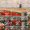 S3E06RW Veld & Fiets - S3E06