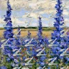 S3E07RW Mid Summer Fields - S3E07